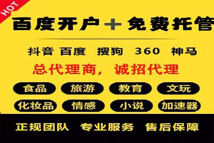 竞价广告策略案例分析