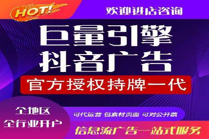 行业领先企业的信息流竞价策略揭秘